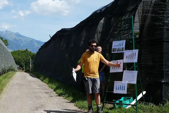 Fig. 6: Le presentazioni di prove sperimentali in cerasicoltura a Fragsburg organizzate dal Centro Laimburg: © Centro di Sperimentazione Laimburg