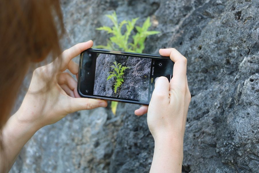 Abb. 1: Start der Initiative Photo Action: Nature in Focus des Versuchszentrums Laimburg: © Laimburg Research Centre/johanna höller