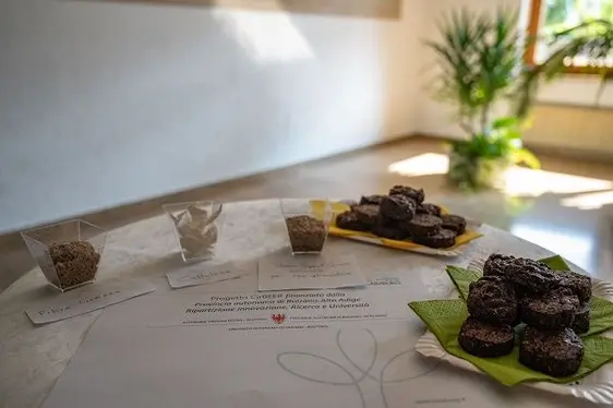 Die aus Biertreber hergestellten Kekse, mit Blick auf die Kreislaufwirtschaft © Versuchszentrum Laimburg