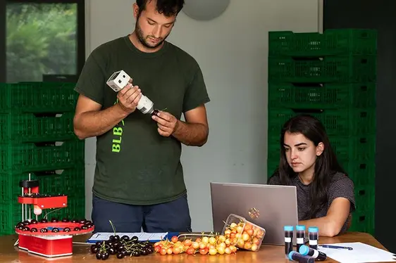 Fig. 3: Ricercatori del Centro di Sperimentazione Laimburg rilevano l’intensità di colorazione dei frutti: © Centro di Sperimentazione Laimburg/ivo corrà