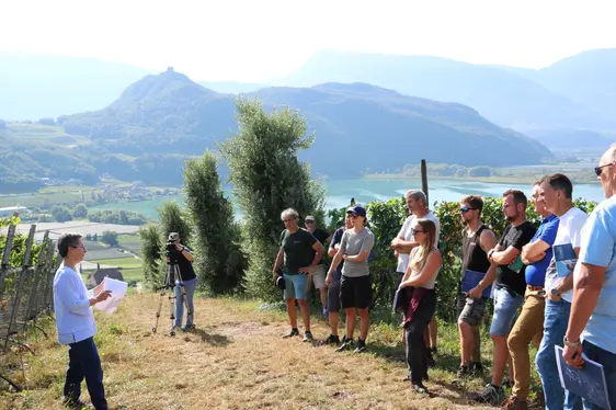 Fig. 3: Le Prove sperimentali in Viticoltura rappresentano un’importante occasione di scambio tra ricerca e pratica: © Laimburg Research Centre/johanna höller