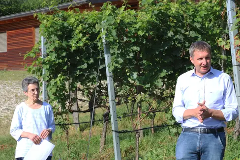 Abb. 1: Luis Walcher, Landesrat für Landwirtschaft und Forstwirtschaft, begrüßte die zahlreich erschienenen Weinbäuerinnen und Weinbauern am Ölleitenhof in Kaltern. ©Laimburg Research Centre/johanna höller