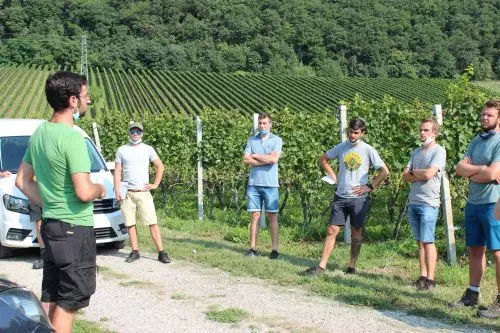 Beeinflussen hagelgeschädigte Trauben die Weinqualität? Dieser Frage ging Christoph Patauner auf den Grund. ©VZL