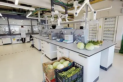 Im Labor für Aromen und Metaboliten werden natürlich vorkommende Inhaltsstoffe in landwirtschaftlichen Produkten untersucht, um deren Qualität, Charakteristik und Reinheit zu prüfen