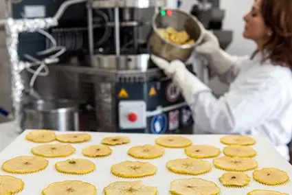 Mit der neuen DIC-Pilotanlage des Versuchszentrums Laimburg kann Trockenobst und Gemüse mit besonderen Textureigenschaften hergestellt werden. ©Versuchszentrum Laimburg/ivocorrà