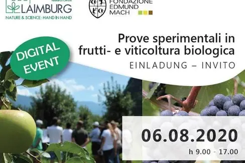 Versuchsbegehungen im ökologischen Anbau 2020