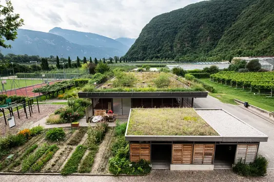 Fig. 5: Tetto verde presso il Centro di Sperimentazione Laimburg: © NOI Techpark/Ivo Corrà