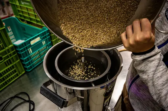 Fig. 4: Dalla produzione della birra si ricavano come sottoprodotto le trebbie umide: © Laimburg Research Centre /alex Rehbichler