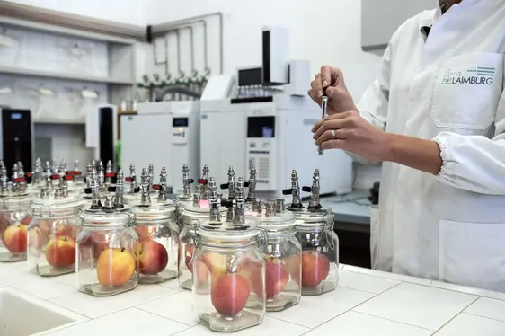 Fig. 7: Ricerca sulla conservazione e sul post-raccolta nel magazzino sperimentale del Centro di Sperimentazione Laimburg a Vadena: © Laimburg Research Centre/ivo corrà