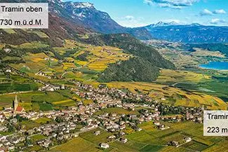 Le parcelle di vigneto analizzate dai ricercatori si trovavano a diverse altitudini. ©Cantina Termeno