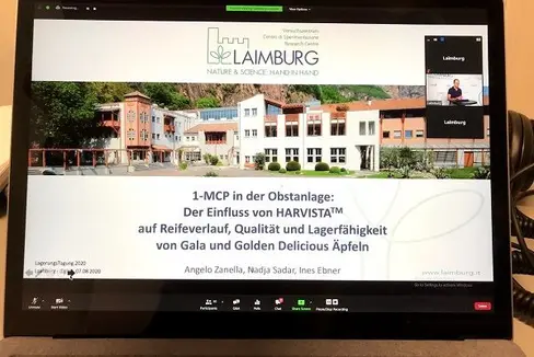Die Lagerungstagung 2020 fand erstmals digital statt und wurde aus den Studios der Messe Bozen übertragen. © Versuchszentrum Laimburg