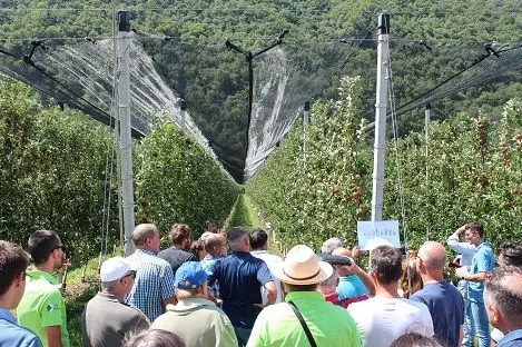 Visita dei campi sperimentali al Centro Laimburg: © Centro di Sperimentazione Laimburg/agnese martinelli