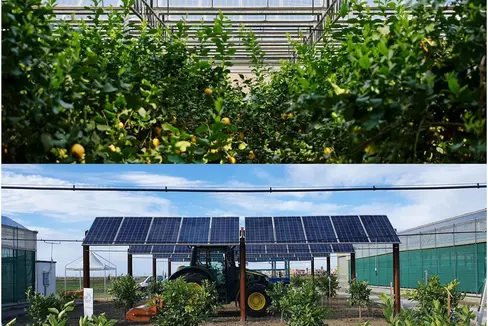 © Images courtesy of EF Solare Italia - Greenhouse and Agri-PV Prototype in Scalea (Italy)