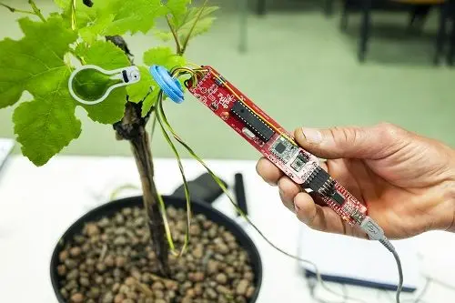 FylloClip © Laimburg Research Centre/Ivo Corrà