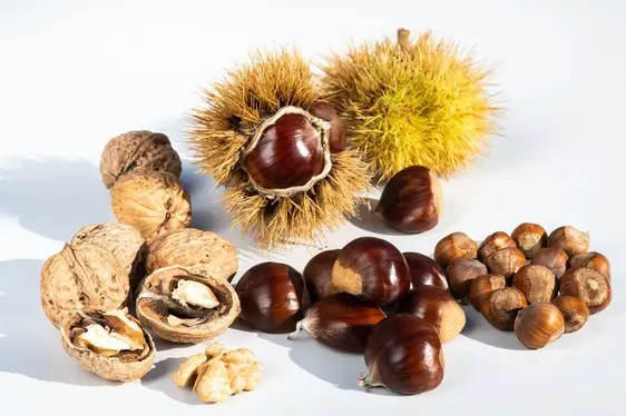 Fig. 5: Noci, nocciole e castagne: colture regionali con una lunga tradizione: © Laimburg Research Centre/ivo corrà