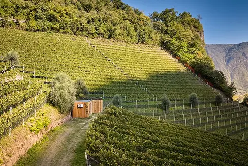 Fig. 1: LIDO – Laimburg Integrated Digital Orchard è il primo laboratorio a cielo aperto in frutti- e viticoltura in Alto Adige.: © Centro di Sperimentazione Laimburg/andreas tauber