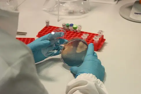 Fig. 1: Analisi microbiologiche nel Laboratorio di Biologia Molecolare © Centro di Sperimentazione Laimburg