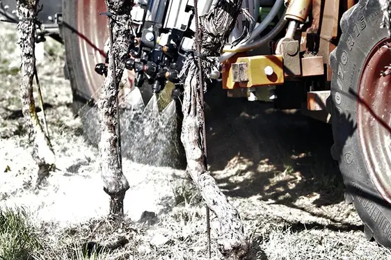 Quando le due fasi liquide interagiscono, si verifica un processo di gelificazione immediata.: © Centro di Sperimentazione Laimburg