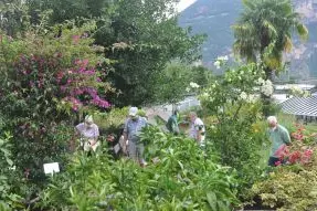 Besucher im Schaugarten bestaunen Nutz-, Heil- und Gewürzpflanzen ©VZL