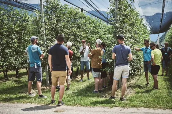 Fig. 3: Visite guidate e trasferimento delle conoscenze nei campi sperimentali presso il Centro di Sperimentazione Laimburg
© Laimburg Research Centre/andreas tauber