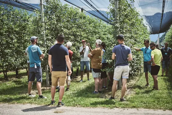 Abb. 3: Führungen und Wissenstransfer auf den Versuchsfeldern des Versuchszentrums Laimburg
© Laimburg Research Centre/andreas tauber