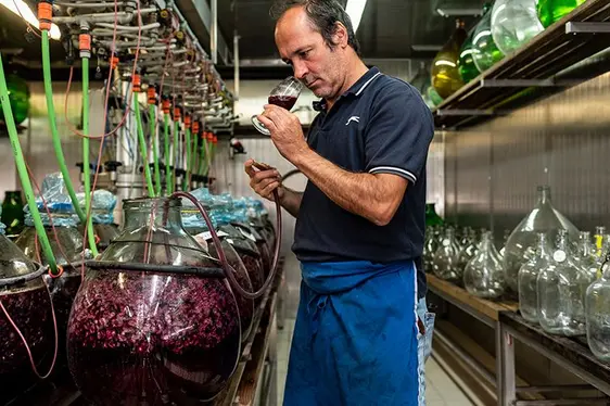 Fig. 5: Ulrich Pedri del Centro di Sperimentazione Laimburg durante la prova sensoriale dei vini.: © Centro di Sperimentazione Laimburg /ivo corrà