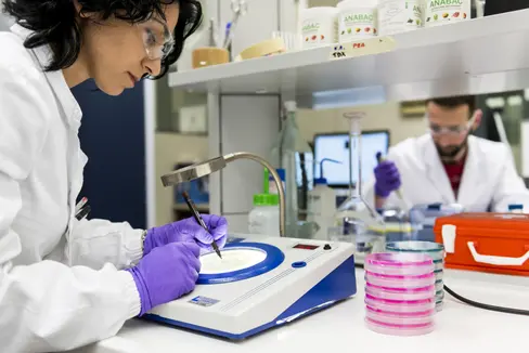 Fig. 1: Il Laboratorio di Microbiologia Alimentare del Centro di Sperimentazione Laimburg: © Laimburg Research Centre /ivo corrà