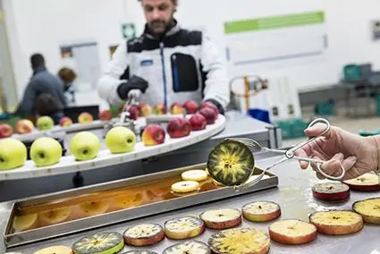 Bei der Lagerungstagung 2021 werden Neuheiten aus dem Bereich der Obstlagerung vorgestellt. ©Versuchszentrum Laimburg