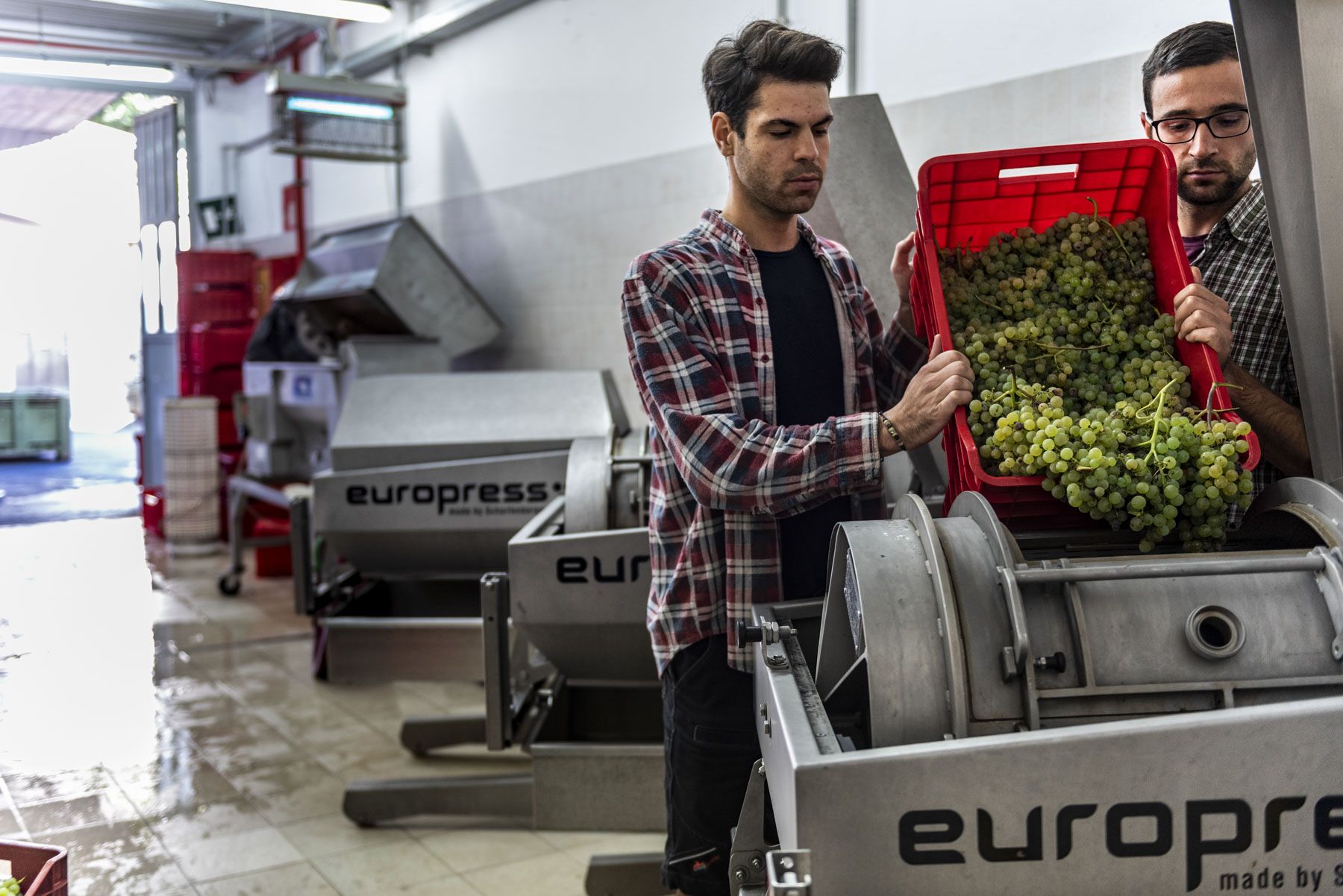 Nel settore Enologia del Centro Laimburg vengono eseguite prove sperimentali sulla vinificazione ed esaminate le influenze delle tecniche agricole adottate in campo. © Centro di Sperimentazione Laimburg/ivo corrà
