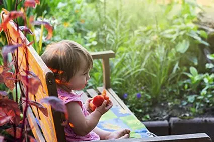 Poter coltivare da sé piante commestibili e poterle assaporare è un’esperienza anche per i bambini: ©Floricoltura Laimburg