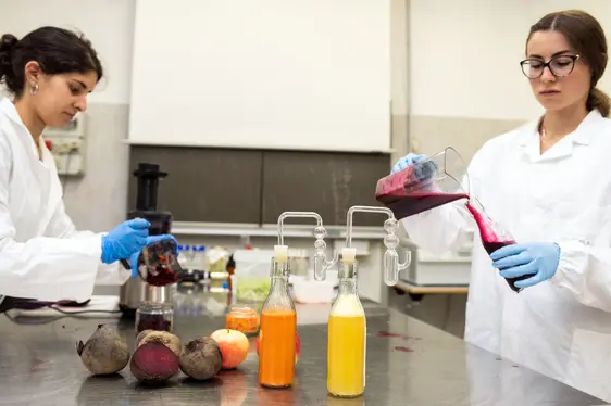 Fig. 6: Nel Laboratorio Fermentazione e Distillazione il team esplora i microrganismi naturalmente presenti negli ingredienti di base dei prodotti fermentati, con lo scopo di utilizzare questi microrganismi locali per creare prodotti unici: © Laimburg Research Centre /ivo corrà