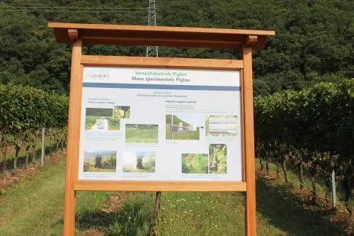 Il Maso sperimentale di Piccolungo si trova nei pressi del Centro di Sperimentazione Laimburg a Vadena. ©CSL