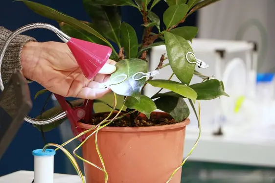 Fig. 3: Presso lo stand del Centro Laimburg era possibile osservare il sensore fogliare “FylloClip”: © Laimburg Research Centre/Agnese Martinelli
