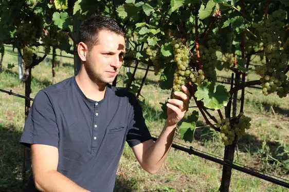 Urban Spitaler, Leiter der Arbeitsgruppe Mittelprüfung am Versuchszentrum Laimburg © Laimburg Research Centre/agnese martinelli