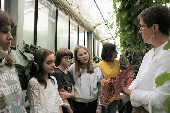 Abb. 5: Im Tropenhaus begegneten die Mädchen unbekannten, exotischen Pflanzen.: © Versuchszentrum Laimburg