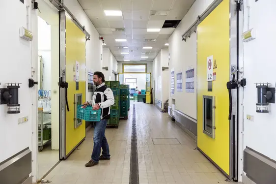 Abb. 2: Im Rahmen des Projekts „CoolST“ wird der Energieverbrauch von Kühlsystemen in Südtirol untersucht, darunter auch von Obstmagazinen: © Laimburg Research Centre /Ivo Corrà