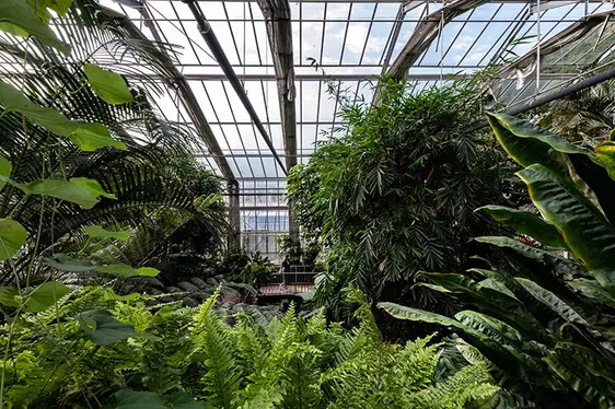 Fig. 3: La serra tropicale della Giardineria Laimburg: © Centro di Sperimentazione Laimburg/ivo corrà