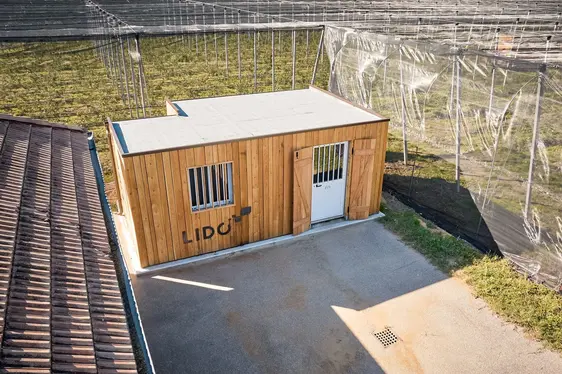 Fig. 4: Il laboratorio a cielo aperto LIDO presso il Centro di Sperimentazione Laimburg verrà utilizzato per le fasi sperimentali del progetto: © Laimburg Research Centre/andreas tauber