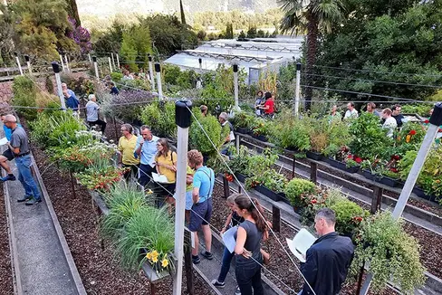 Gärtnerinnen und Gärtner bei der Besichtigung des Balkonversuches im August 2021 © Versuchszentrum Laimburg