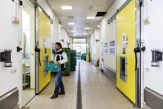 Fig. 5: Attività nel magazzino sperimentale del Centro di Sperimentazione Laimburg: © Laimburg Research Centre/Ivo Corrà