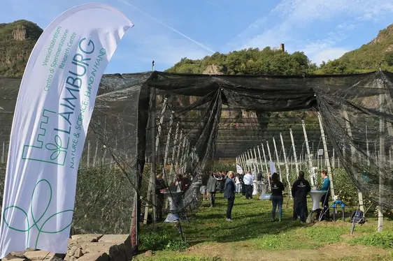 Fig. 3: 14 aziende, start-up e istituti di ricerca testano le loro tecnologie nel laboratorio di frutticoltura a cielo aperto LIDO – Laimburg Integrated Digital Orchard: © Laimburg Research Centre /agnese martinelli