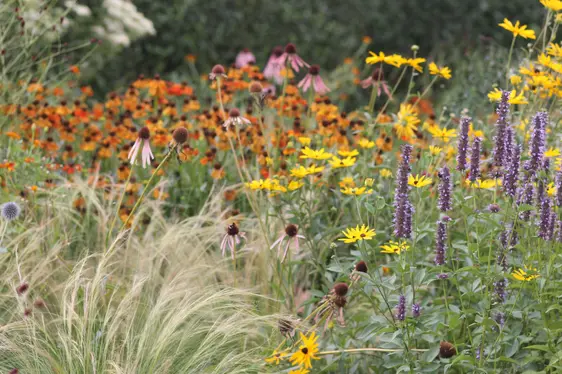 Fig. 5: Gli spazi verdi hanno molteplici funzioni nelle aree urbane, dal rinfrescamento estivo all'habitat per gli animali: © Laimburg Research Centre