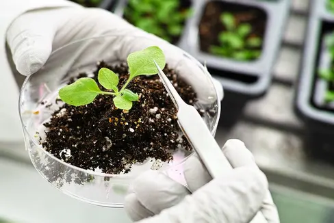 Abb. 1 Genome Editing erlaubt es die Erbinformationen mit Präzision zu verändern. ©Shutterstock