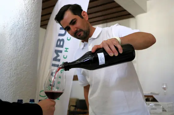 Fig. 3: Degustazione di vini sperimentali da diversi sistemi di allevamento del Pinot nero e di vini dealcolati.
© Laimburg Research Centre/agnese martinelli