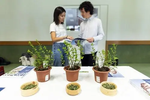 Varietà di Menta piperita © Laimburg Research Centre/Ivo Corrà