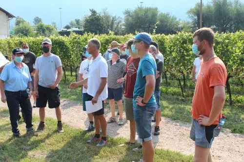 Josef Terleth ha esposto le attuali conoscenze in merito alla valutazione delle varietà di vite resistenti alle malattie fungine. ©CSL