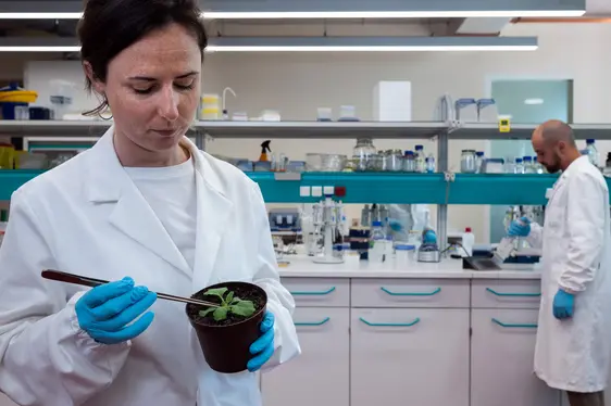 Abb. 2: Die Projektinitiatorin Katrin Janik
© Laimburg Research Centre/ivo corrà