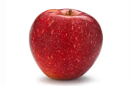 Thema der Lagerungstagung 2021 war auch das Lagerverhalten neuer Sorten wie SQ 159 / Natyra®: ©Versuchszentrum Laimburg