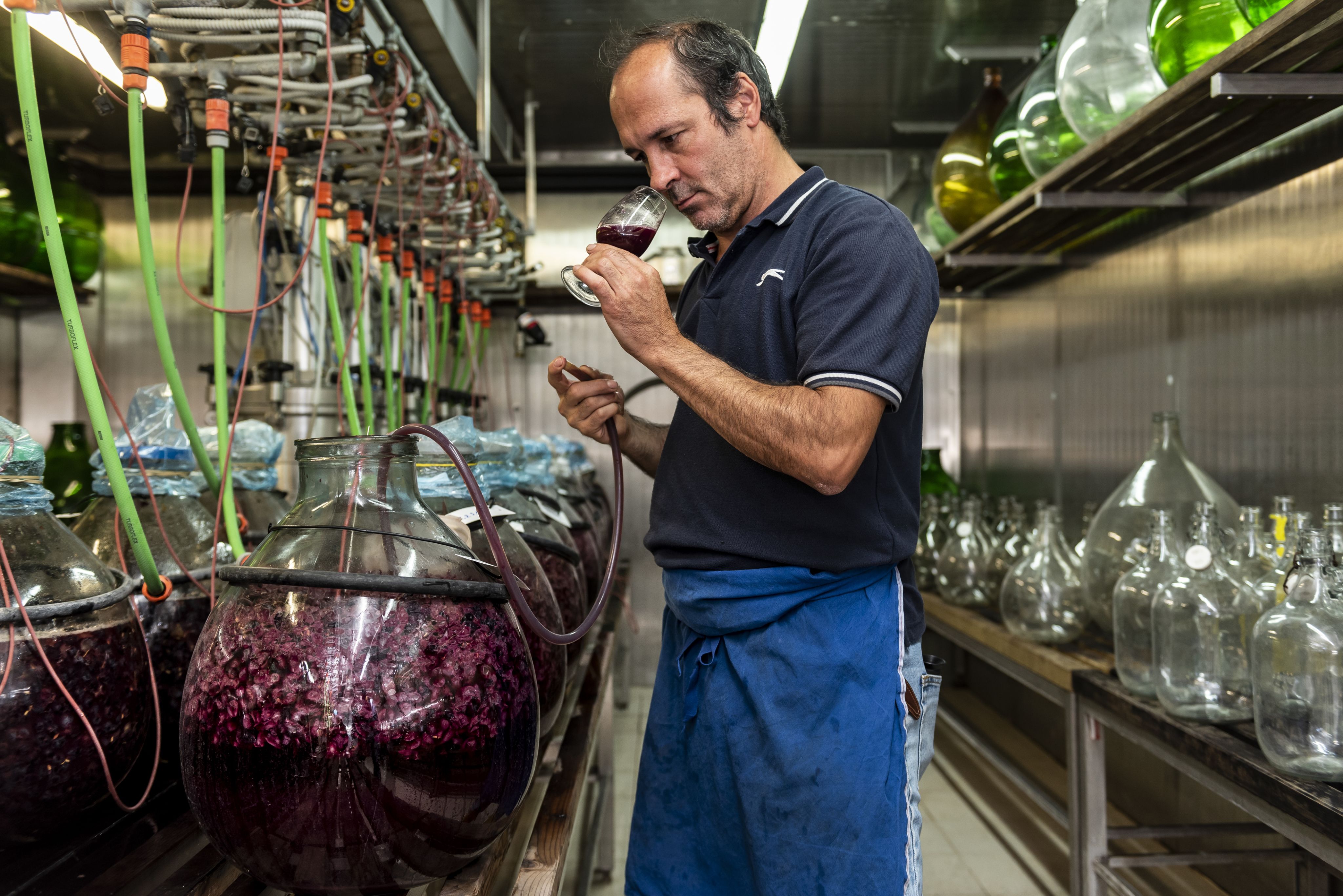 © Centro di Sperimentazione Laimburg/ ivo corrà