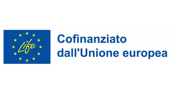 Logo del finanziatore di LIFE APOLLO: LIFE, cofinanziato dall'Unione europea